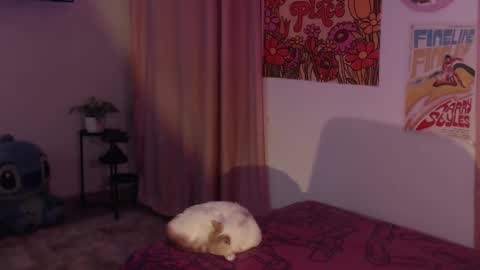 Snapshot of honeyypeaach chatting on December 11, 12:12 am    online show from December 11, 12:12 am