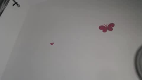 Iris online show from November 4, 9:25 pm