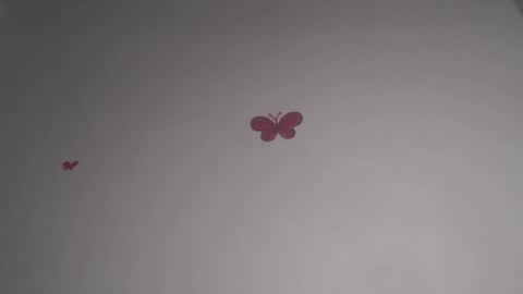 Iris online show from February 5, 7:18 pm