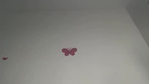 Iris online show from February 21, 7:48 pm