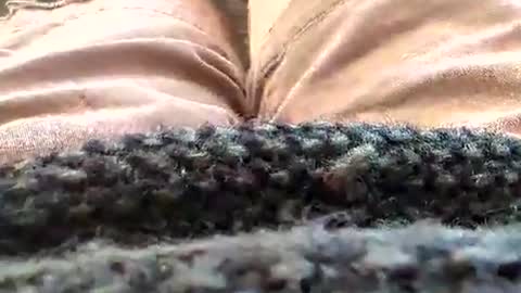 Tiny cock online show from January 18, 2:43 pm