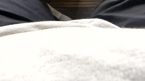 Snapshot of hornyallthetime6969696969 chatting on July 15, 11:37 am Tiny cock online show from July 15, 11:37 am