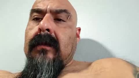 Snapshot of hornychrisla chatting on December 19, 11:46 pm hornychrisla online show from December 19, 11:46 pm