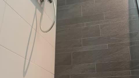 Toyboy online show from March 24, 12:32 pm