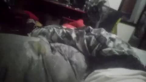 Snapshot of horsebrowm chatting on January 1, 11:29 pm horsebrowm online show from January 1, 11:29 pm