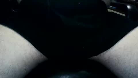 horsesaslife online show from September 22, 8:22 pm