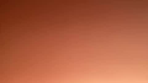 Marcus  Tatti  online show from February 20, 4:57 pm