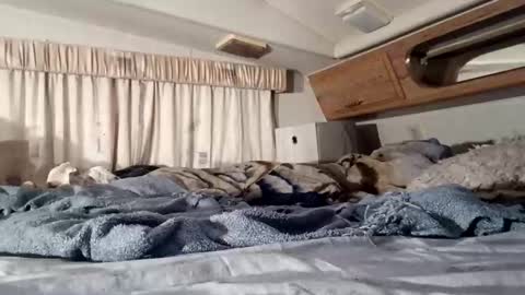 HotAmyMike online show from November 11, 2:39 pm