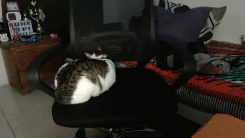 Hot and PowerHOPE U MISS ME online show from December 21, 1:04 am