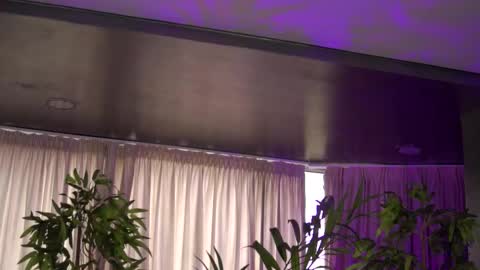 Anais online show from October 27, 9:57 am