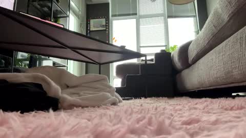 Snapshot of hotgirlbigbutt chatting on May 23, 11:47 am hotgirlbigbutt online show from May 23, 11:47 am