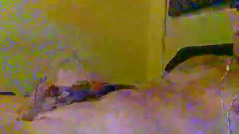 hotjox online show from March 5, 6:09 am