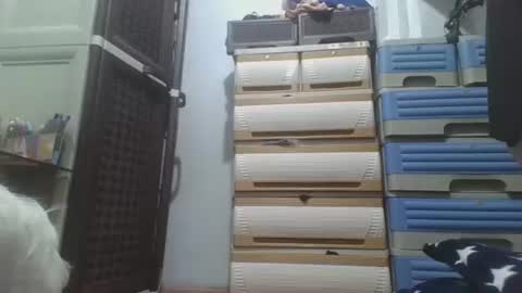 hotlavender online show from December 17, 2:28 am