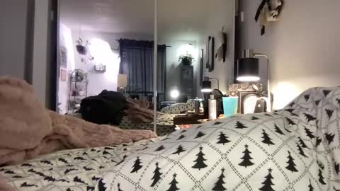 Annabelle online show from December 15, 11:53 pm