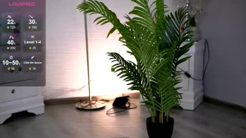 Molly online show from January 11, 5:56 am