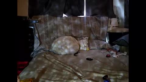 hotrox6942 online show from September 24, 10:51 am