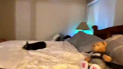 hottiewithabody101 online show from April 11, 11:53 pm