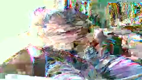 Hottop 1981 online show from April 19, 4:39 pm