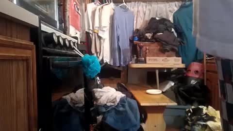 Snapshot of houndmefromhell chatting on December 2, 10:50 am houndmefromhell online show from December 2, 10:50 am