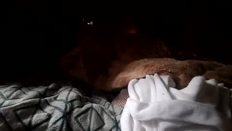 Snapshot of houndmefromhell chatting on December 25, 4:22 pm houndmefromhell online show from December 25, 4:22 pm