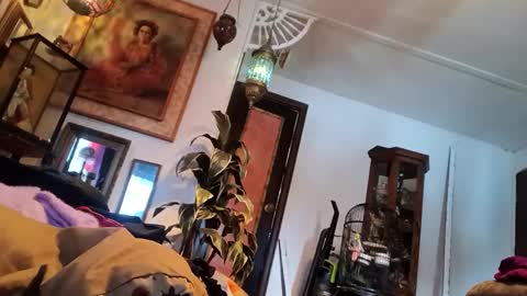 Snapshot of houndmefromhell chatting on March 5, 9:59 pm houndmefromhell online show from March 5, 9:59 pm