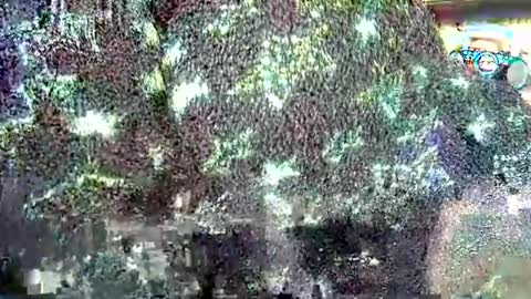 Snapshot of hp58649blabla chatting on September 24, 7:55 am hp58649blabla online show from September 24, 7:55 am