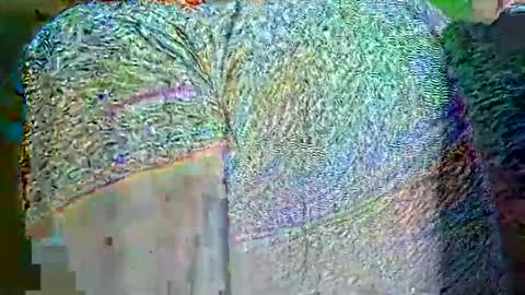 Snapshot of hp58649blabla chatting on September 25, 9:02 am hp58649blabla online show from September 25, 9:02 am