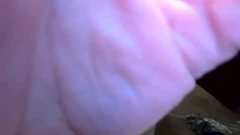 htwnswangn9 online show from April 1, 3:29 am