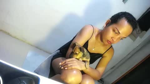 Snapshot of hugcock69_precious chatting on December 20, 6:56 pm Precious online show from December 20, 6:56 pm