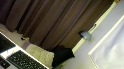 Snapshot of hugcock69_precious chatting on December 29, 6:56 am Precious online show from December 29, 6:56 am