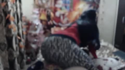 Snapshot of hugeassdevil chatting on January 23, 5:42 pm hugeassdevil online show from January 23, 5:42 pm