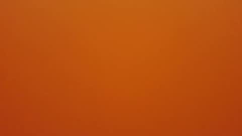 hundeleine online show from December 16, 9:03 am