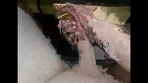 hung_mac0 online show from April 7, 5:02 pm