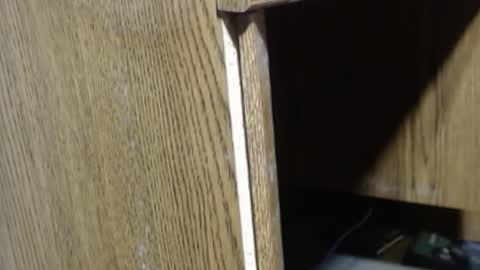 hungsofine online show from December 18, 4:06 pm