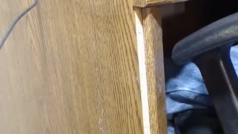 hungsofine online show from December 23, 9:40 pm