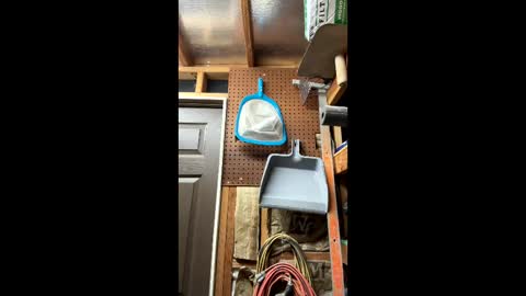 huskey300 online show from March 6, 2:19 am