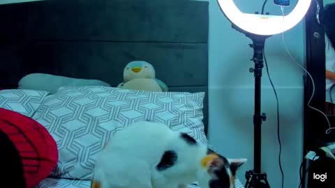 iam_your_fantasy online show from January 12, 1:11 am