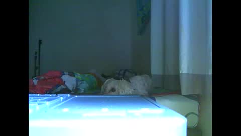 Snapshot of ian_zaenz chatting on November 7, 7:03 pm Ian is back my loves online show from November 7, 7:03 pm