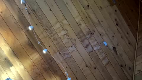 Snapshot of icanmakeyousquirt69 chatting on March 17, 9:18 pm icanmakeyousquirt69 online show from March 17, 9:18 pm