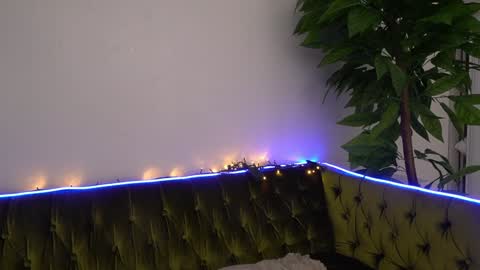 Danielle online show from February 8, 3:10 pm