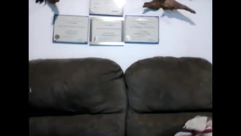 Snapshot of idkwhyidothis348732 chatting on February 11, 12:05 pm idkwhyidothis348732 online show from February 11, 12:05 pm