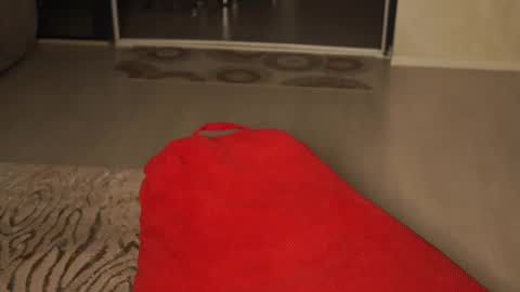 Little Flower online show from April 15, 7:58 pm