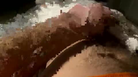 Snapshot of ihor6550 chatting on February 6, 2:49 am Tornado online show from February 6, 2:49 am