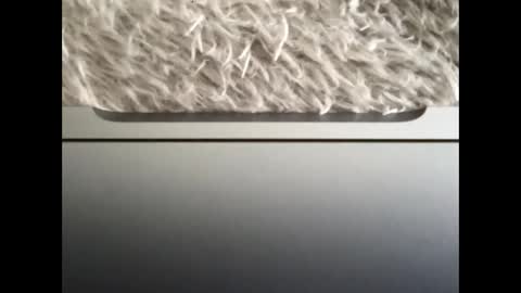 Morvoys online show from September 14, 1:43 pm