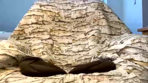 thanks for visiting online show from December 16, 4:23 pm