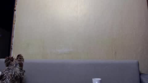 irina online show from January 6, 3:27 pm