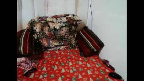 Candy cat online show from January 11, 10:08 am