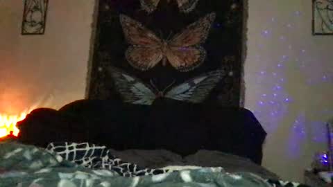 Snapshot of indigobay chatting on January 10, 12:17 am Indigo Bay online show from January 10, 12:17 am