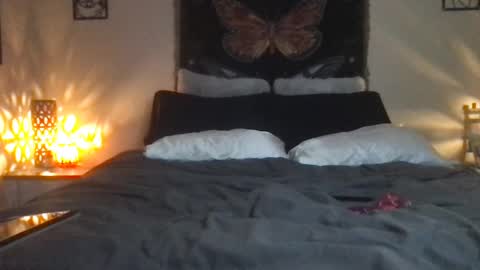 Snapshot of indigobay chatting on February 16, 7:26 am Indigo Bay online show from February 16, 7:26 am