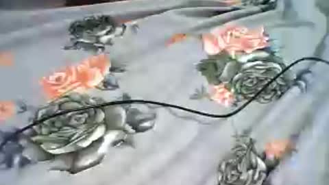 inejhtin online show from June 24, 4:00 am